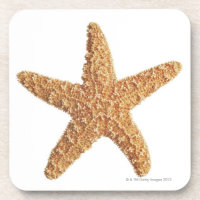 Estrellas de mar aisladas en blanco