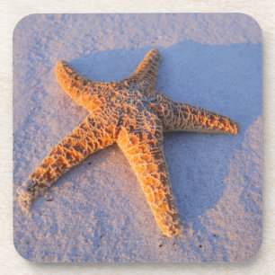 Posavasos Estrellas de mar en la arena blanca