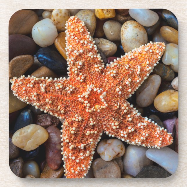 Posavasos Estrellas de mar en rocas (Frente)