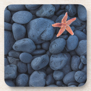 Posavasos Estrellas de mar en rocas negras a lo largo de la
