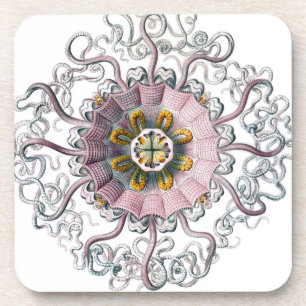 Posavasos Estrellas de mar rosadas