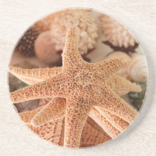 Posavasos Estrellas de mar secas vendidas como recuerdos