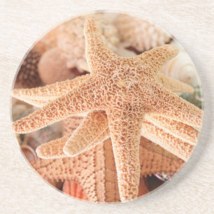 Posavasos Estrellas de mar secas vendidas como souvenirs 2
