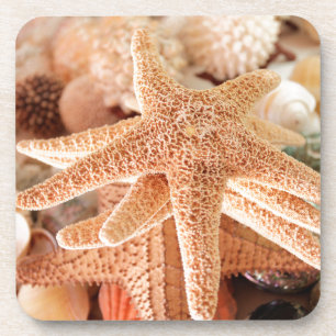 Posavasos Estrellas de mar secas vendidas como souvenirs 2
