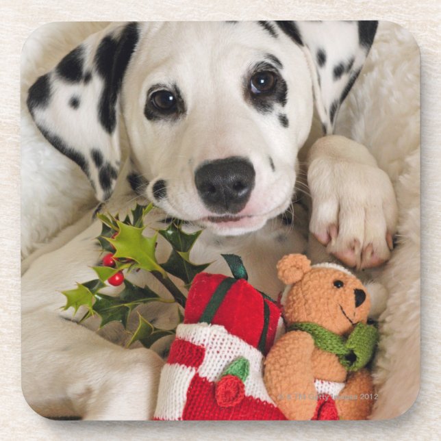 Posavasos estudio (Frente)