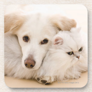 Posavasos Estudio tirado de gato y de perro