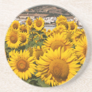 Posavasos Europa, España, Andalucía, provincia de Cádiz