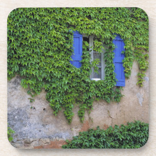 Posavasos Europa, Francia, Lourmarin. Hiedra en cascada