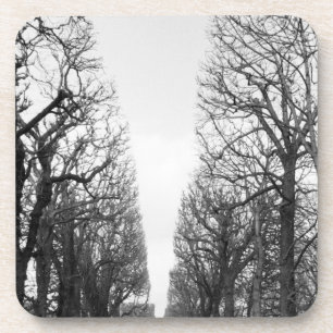 Posavasos Europa, Francia, París. Árboles de invierno, Marco