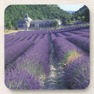Posavasos Europa, Francia, Provenza. Campos de lavanda