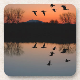 Posavasos Evening Geese