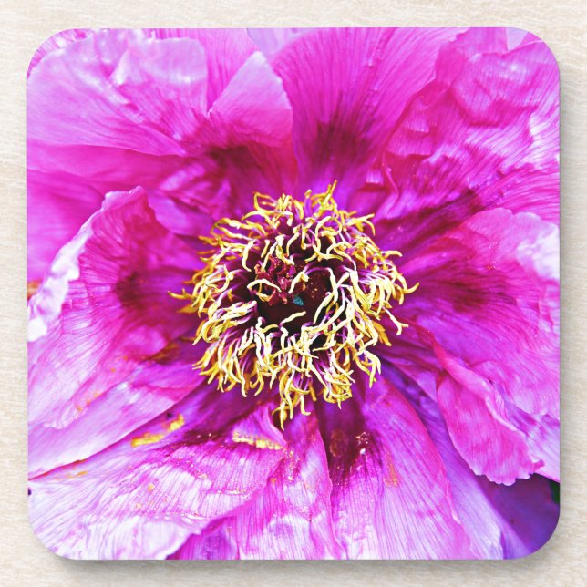 Posavasos Explosión rosa (Frente)