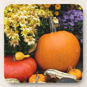 Posavasos Exposición colorida de calabazas decorativas de ot