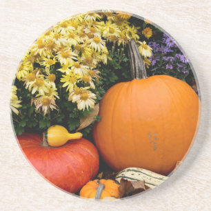 Posavasos Exposición colorida de calabazas decorativas de ot