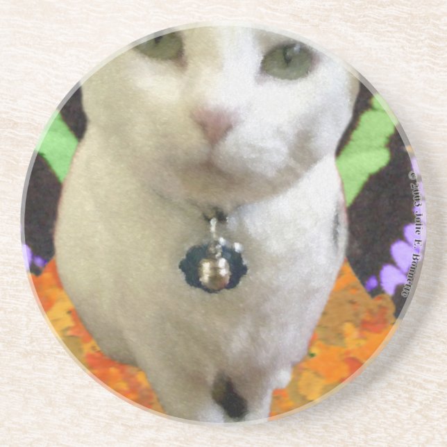 Posavasos Fairy Cat Coaster (Frente)