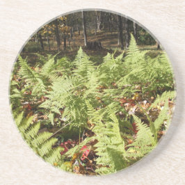 Posavasos Fall Ferns