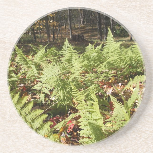 Posavasos Fall Ferns (Frente)
