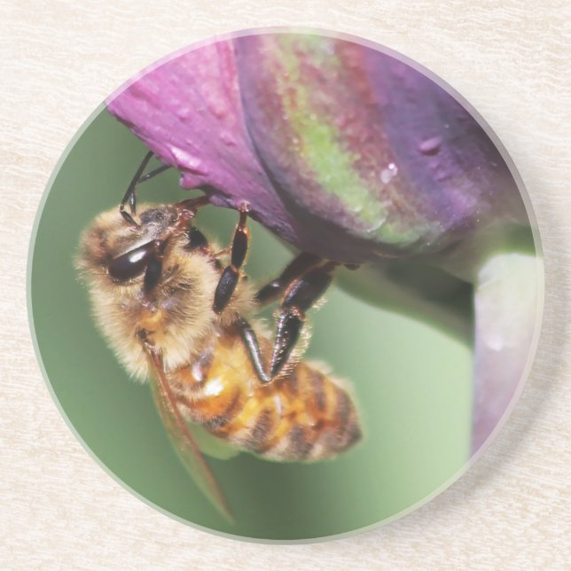 Posavasos Faln Fuzzy Little Bee (Frente)