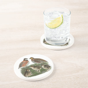 Posavasos Familia de codornices Bobwhite