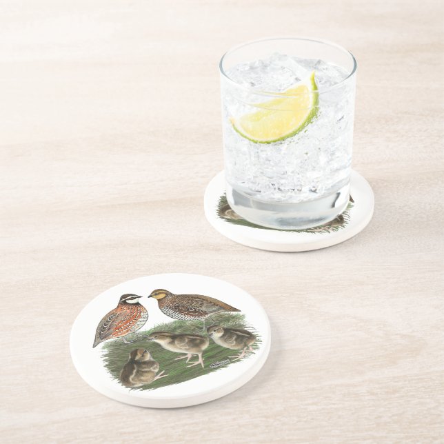 Posavasos Familia de codornices Bobwhite (Lado)