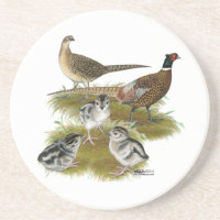 Familia de faisanes de collar