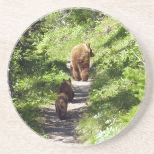 Posavasos Familia de oso pardo