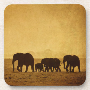 Posavasos Familia del elefante