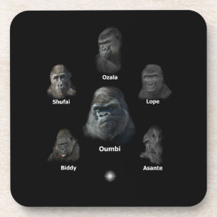 Posavasos Familia Gorilla