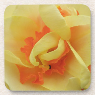 Posavasos Fancy Daffodil Cork Coaster