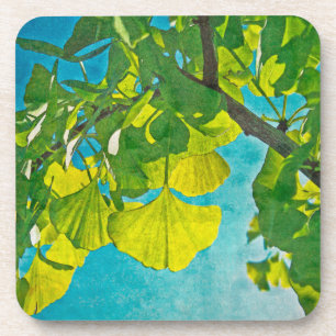 Posavasos Fans de Dreamy