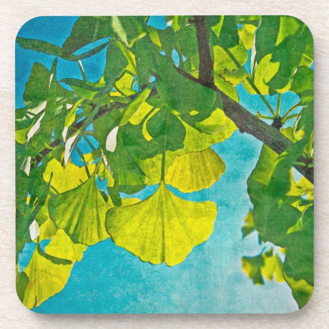 Posavasos Fans de Dreamy (Frente)