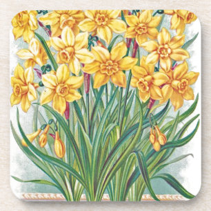 Posavasos fecha rsvp flores narciso amarillo vintage