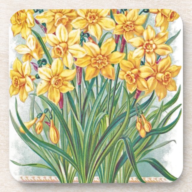 Posavasos fecha rsvp flores narciso amarillo vintage (Frente)