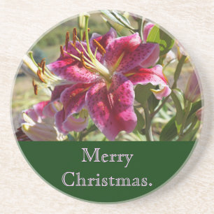 Posavasos Feliz Navidad arenisca de arenisca Alas rosadas Li