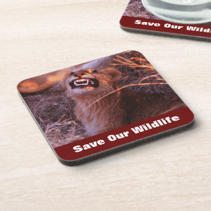 Posavasos Feliz Tau para salvar nuestra vida salvaje
