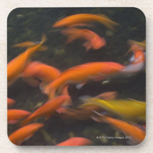 Posavasos Feng Shui cree que los pescados del koi trae buena
