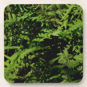 Posavasos Fermones del suelo forestal