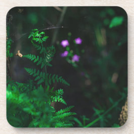 Posavasos Fern de las flores silvestres de los bosques de ag