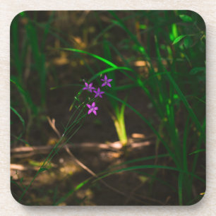 Posavasos Fern de las flores silvestres de los bosques de ag