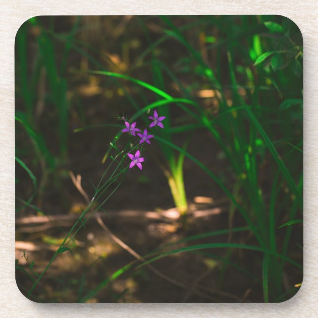 Posavasos Fern de las flores silvestres de los bosques de ag (Frente)