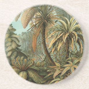 Posavasos Ferns Palm Tree Antique Botanica Ferns Art