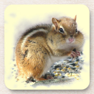 Posavasos Festín de Chipmunk
