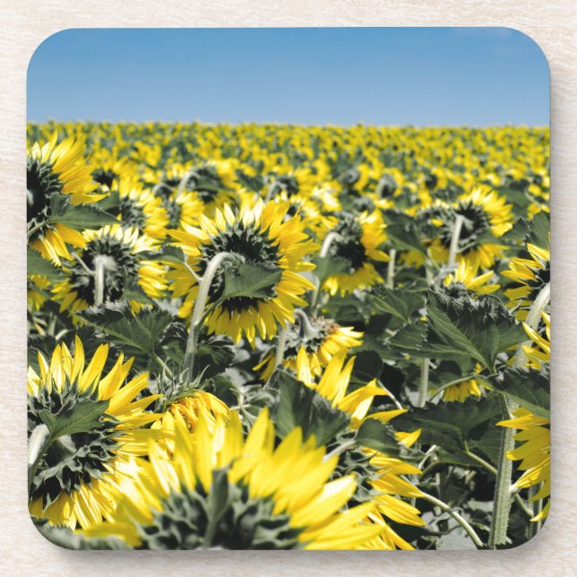 Posavasos Field of Sunflowers (Frente)