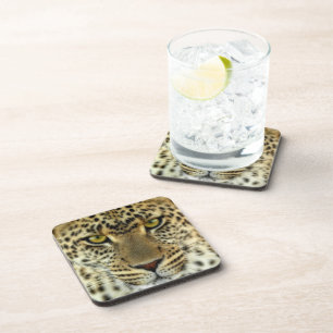Posavasos Fierce Leopard