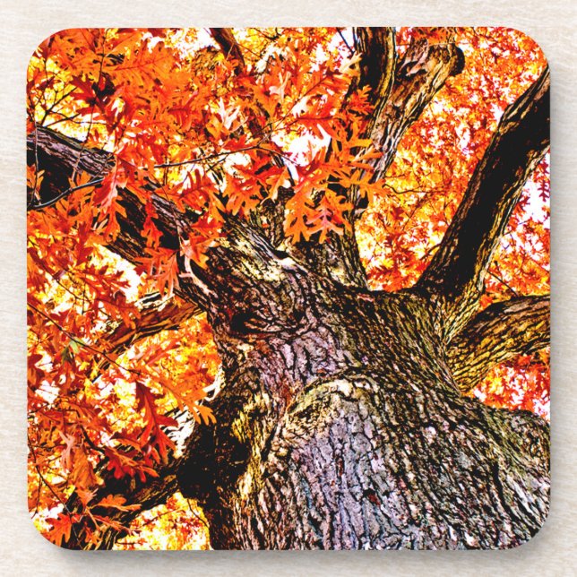 Posavasos Fiery Oak (Frente)