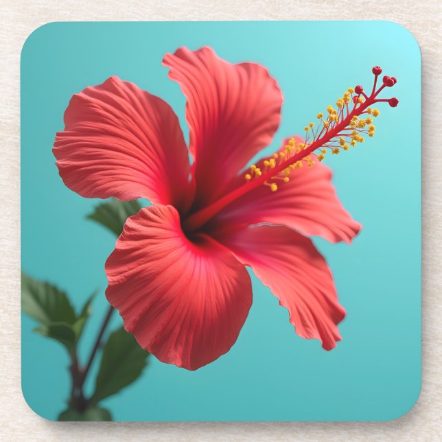 Posavasos Fiery Red Hibiscus (Frente)