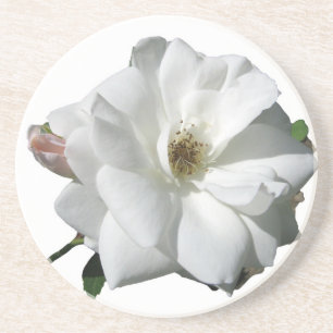 Posavasos Fiesta de Rosas Blancas Regaderas de Boda Flores d