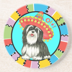 Posavasos Fiesta Havanese