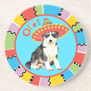 Posavasos Fiesta Husky