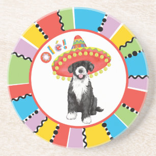 Posavasos Fiesta PWD